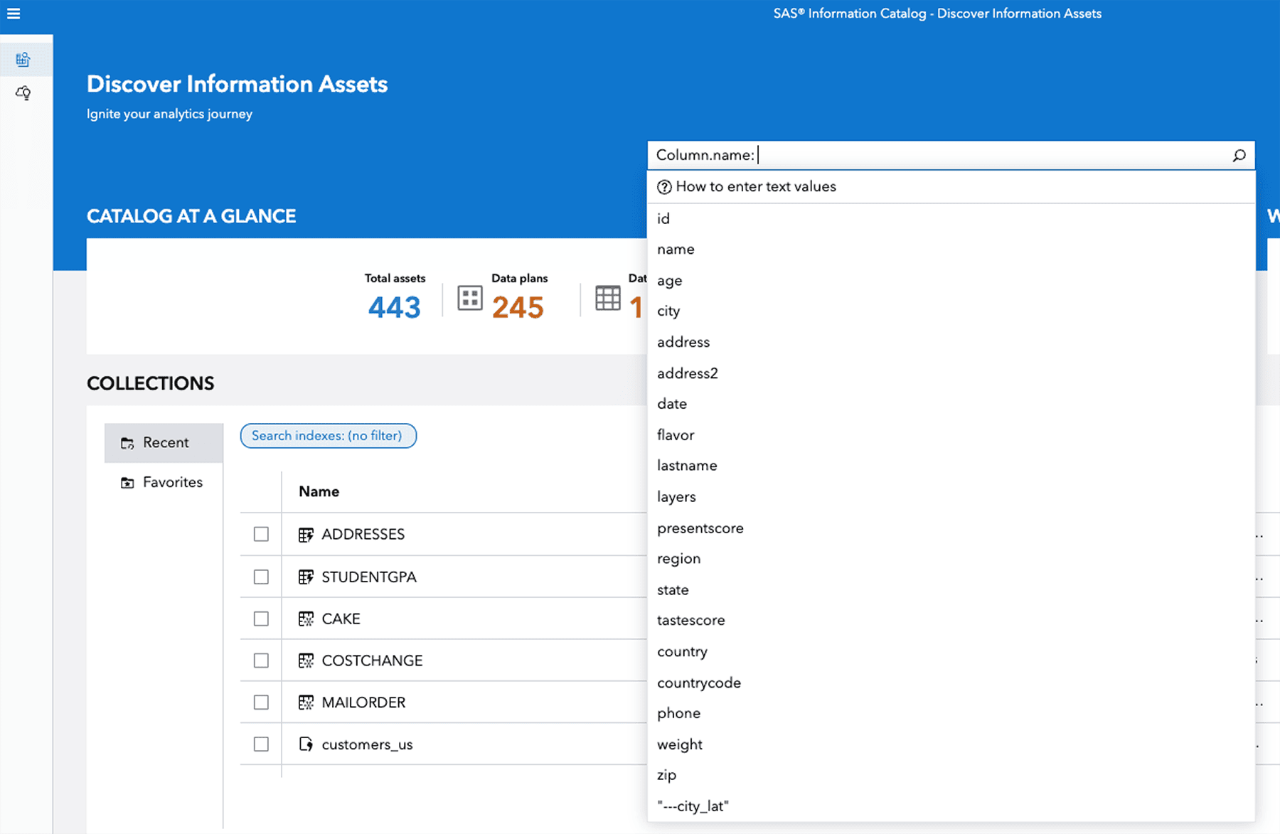 SAS Information Catalog screenshot